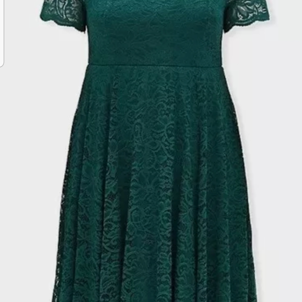 Special occasion green lace & tulle Torrid 14